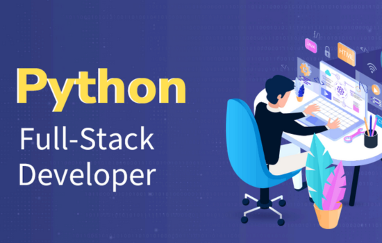 Full-Stack Python Development at CSDT Centre